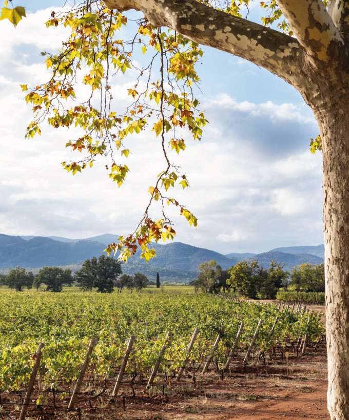 ballades seminaires chateau des demoiselles