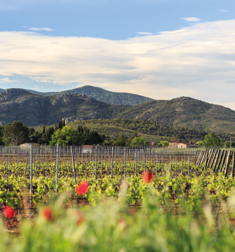 activites provence chateau des demoiselles