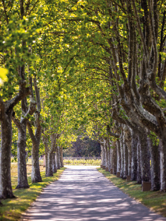 ballades domaine chateau des demoiselles